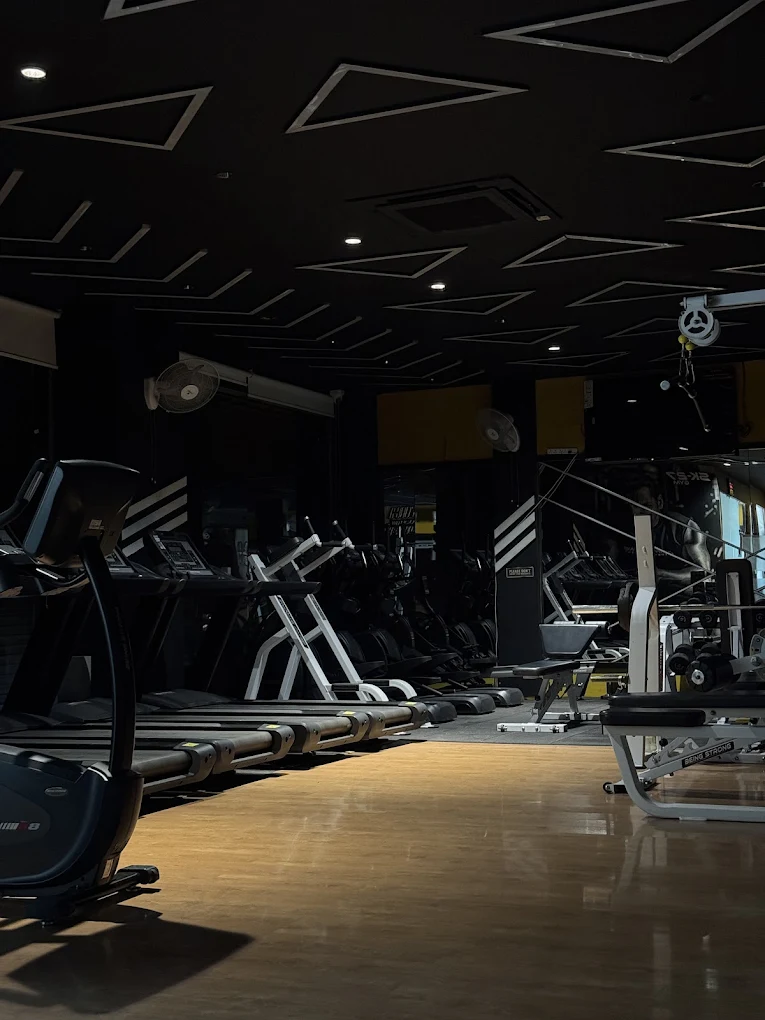 Modern Strength Equipment & Training Area